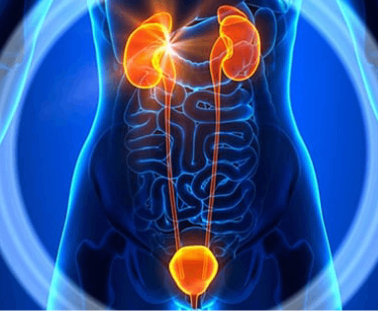 Department Image: Department of Urology